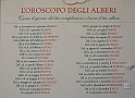 VBS_0803 - Inaugurazione Messer Tulipano 2023